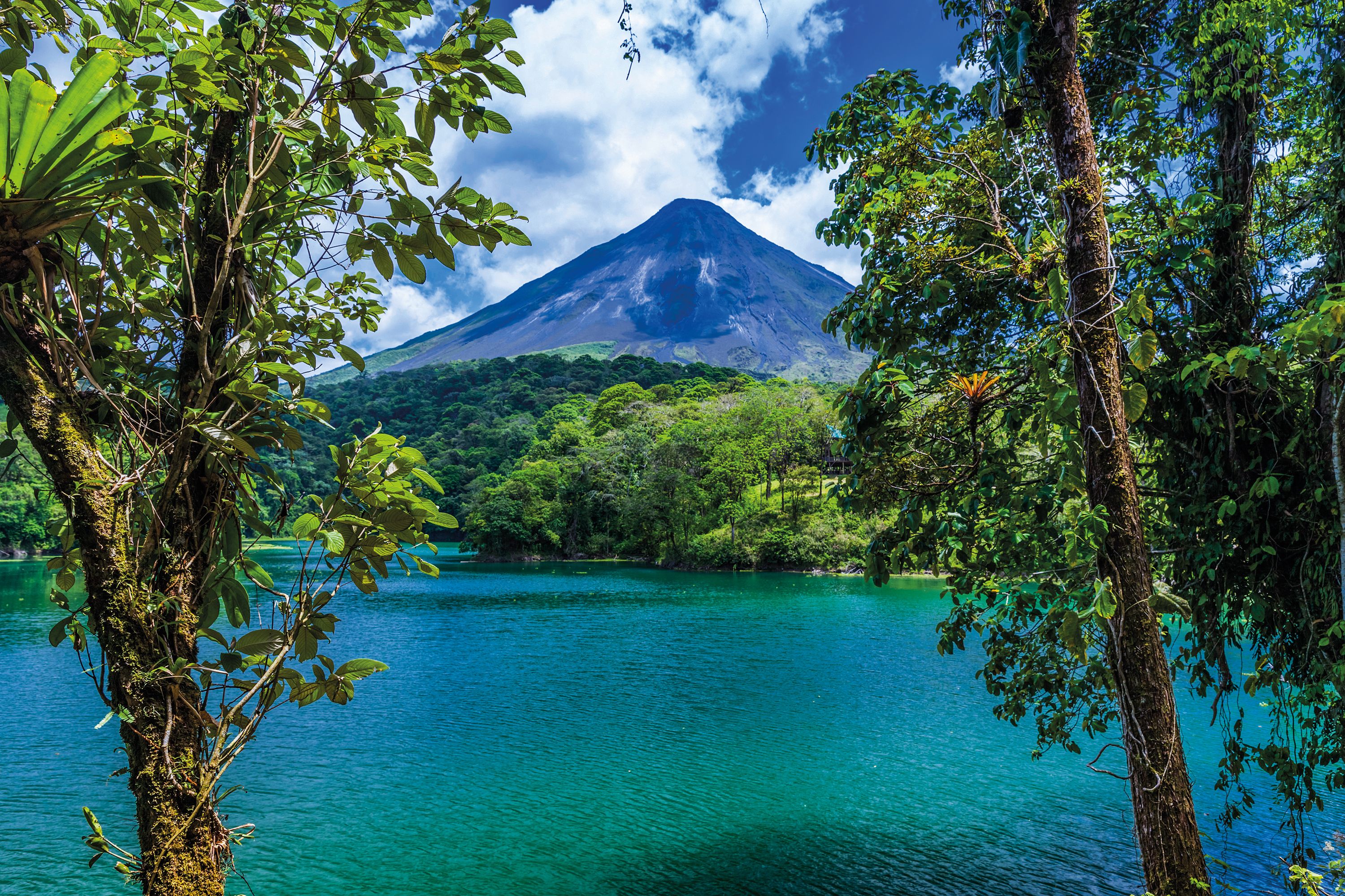 Gardens of Costa Rica - Brightwater US