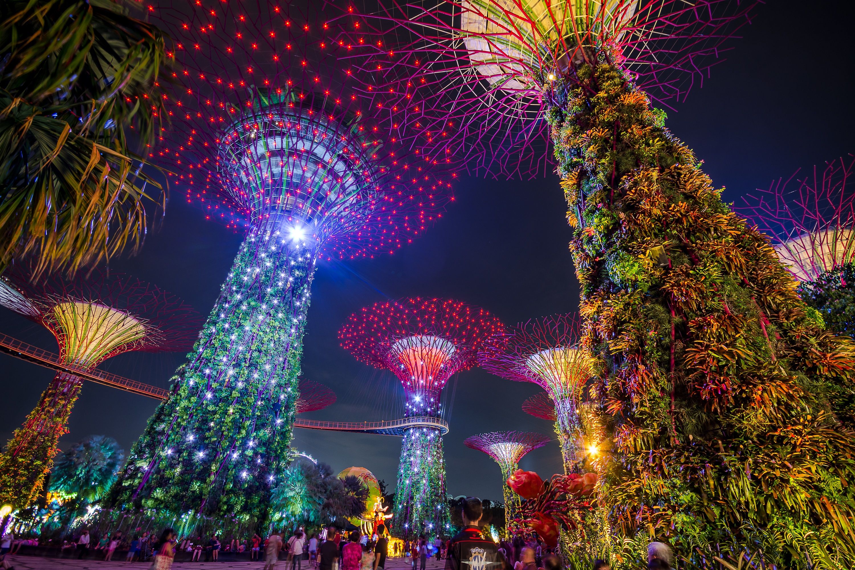 Singapore Garden Festival
