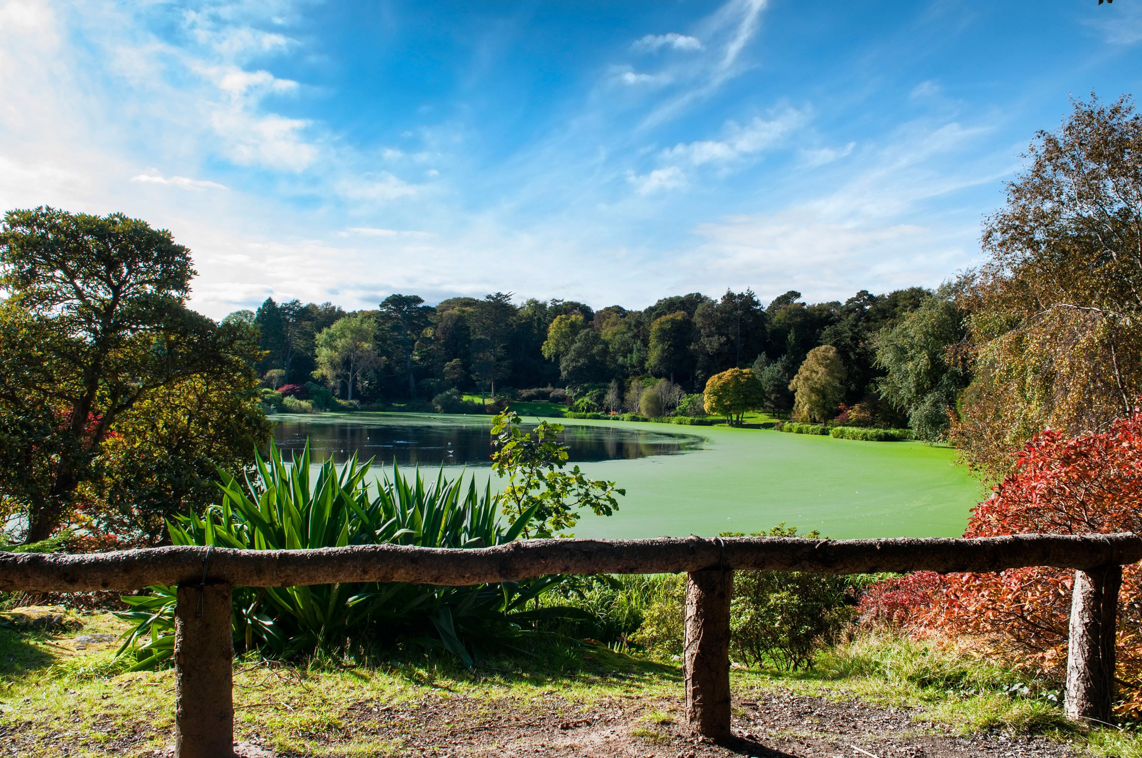 Boating lake at Mount Stewart, Count Down