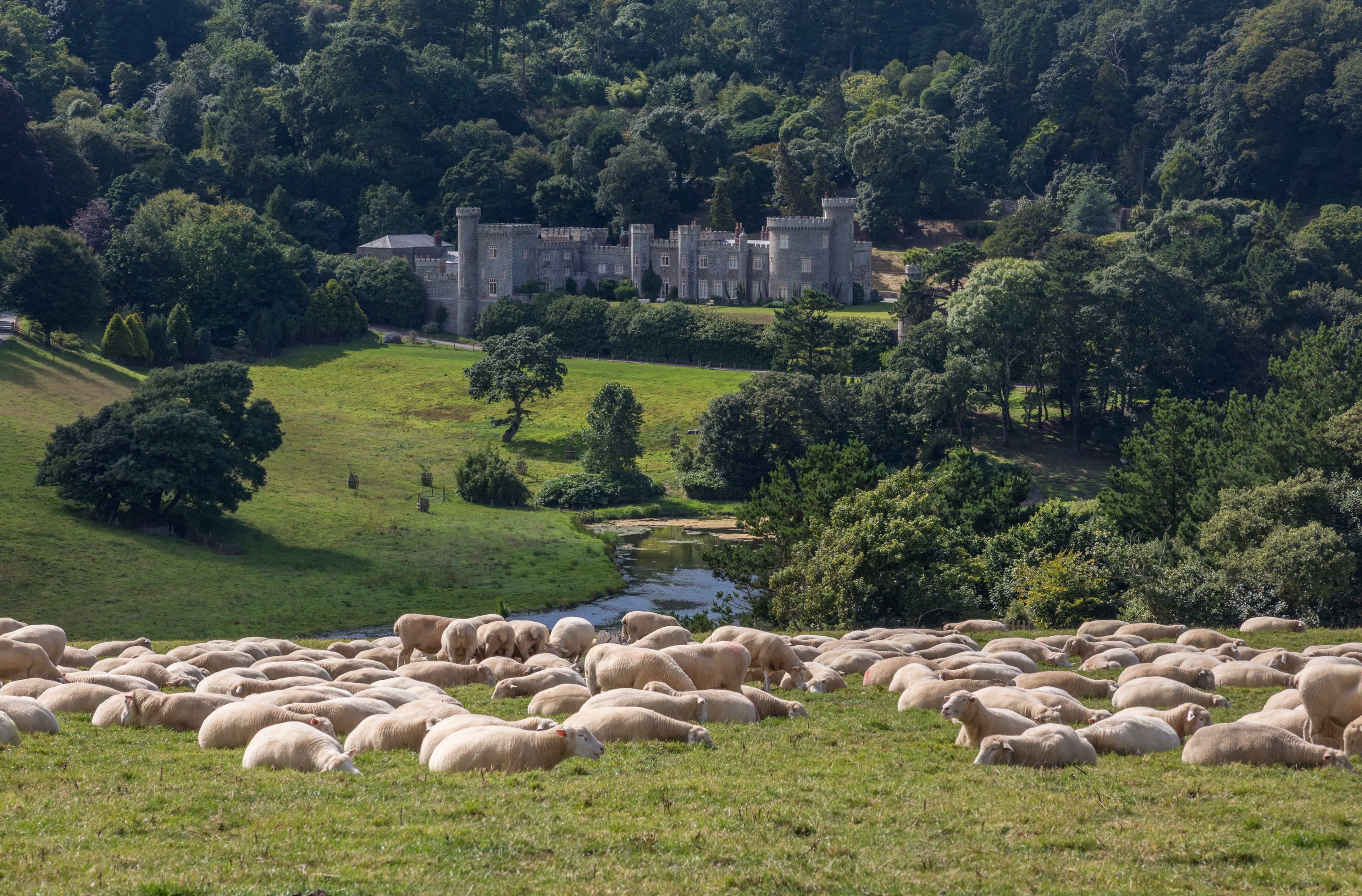Caerhays Castle