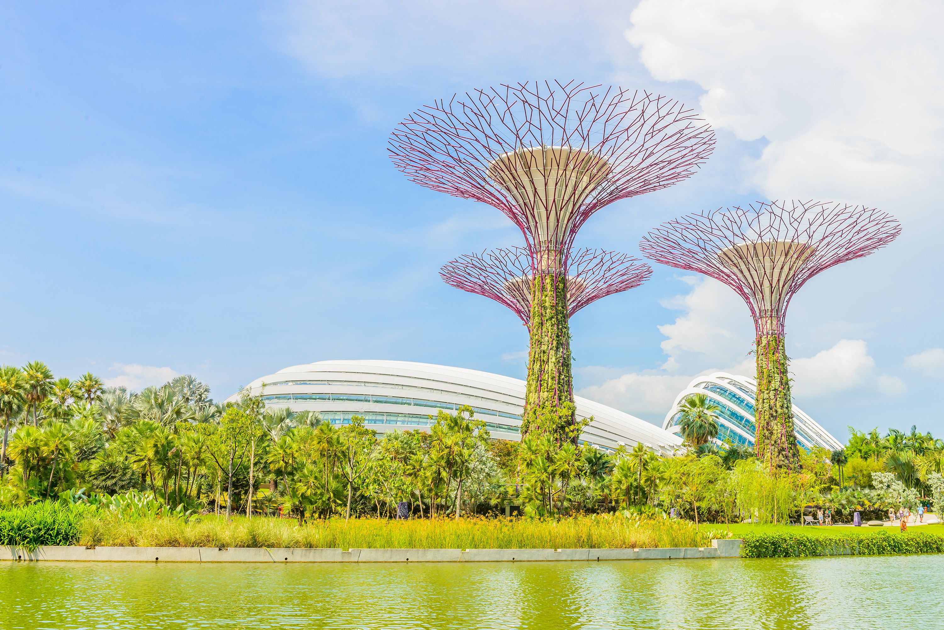 Garden by the bay at Singapore