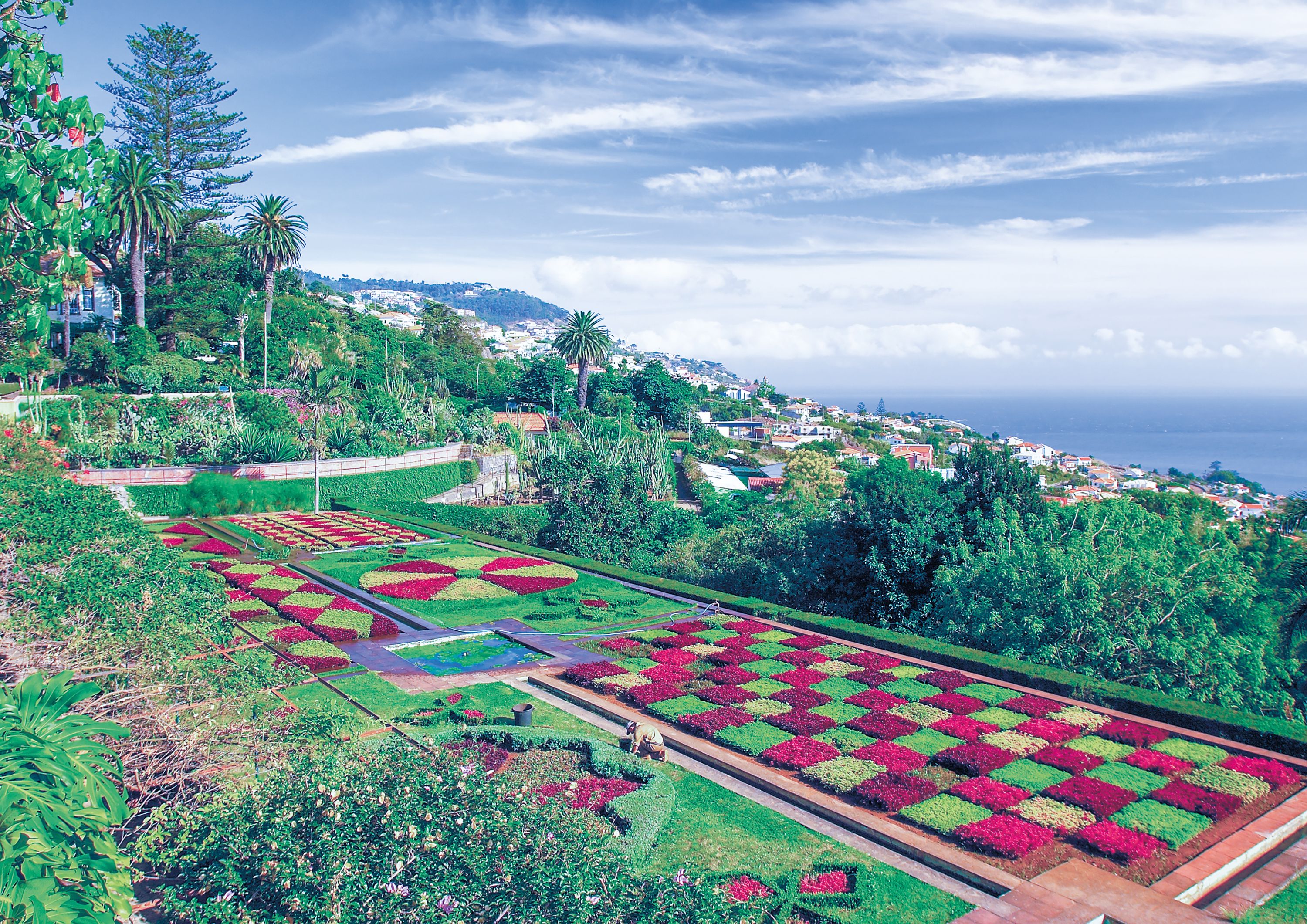 Gardens of Madeira