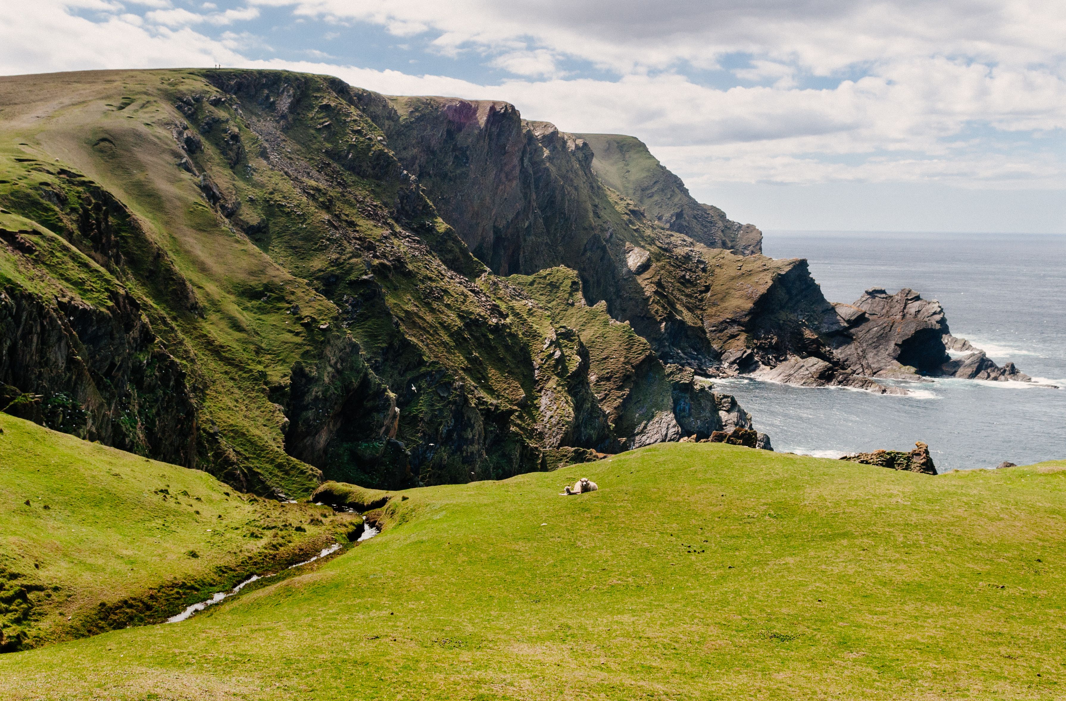 hermaness-nature-reserve-unst-isle