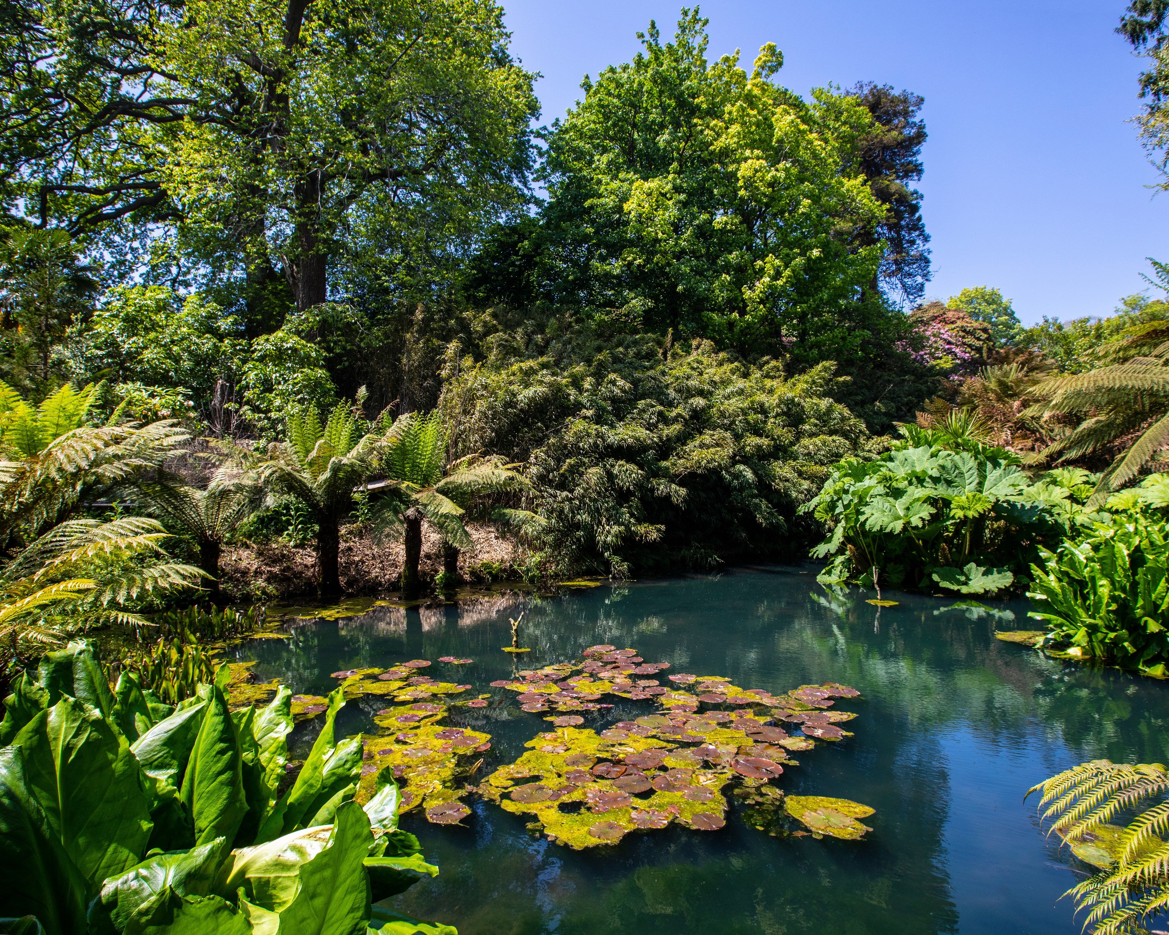 England: Summer Gardens of Cornwall