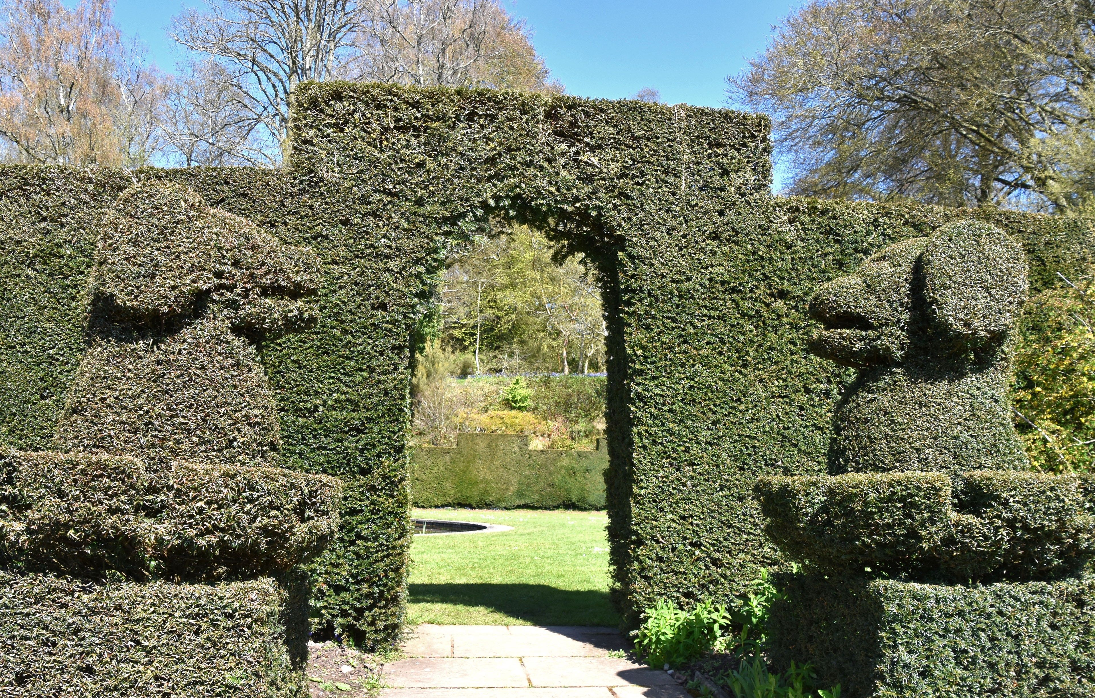 topiary-at-knightshayes