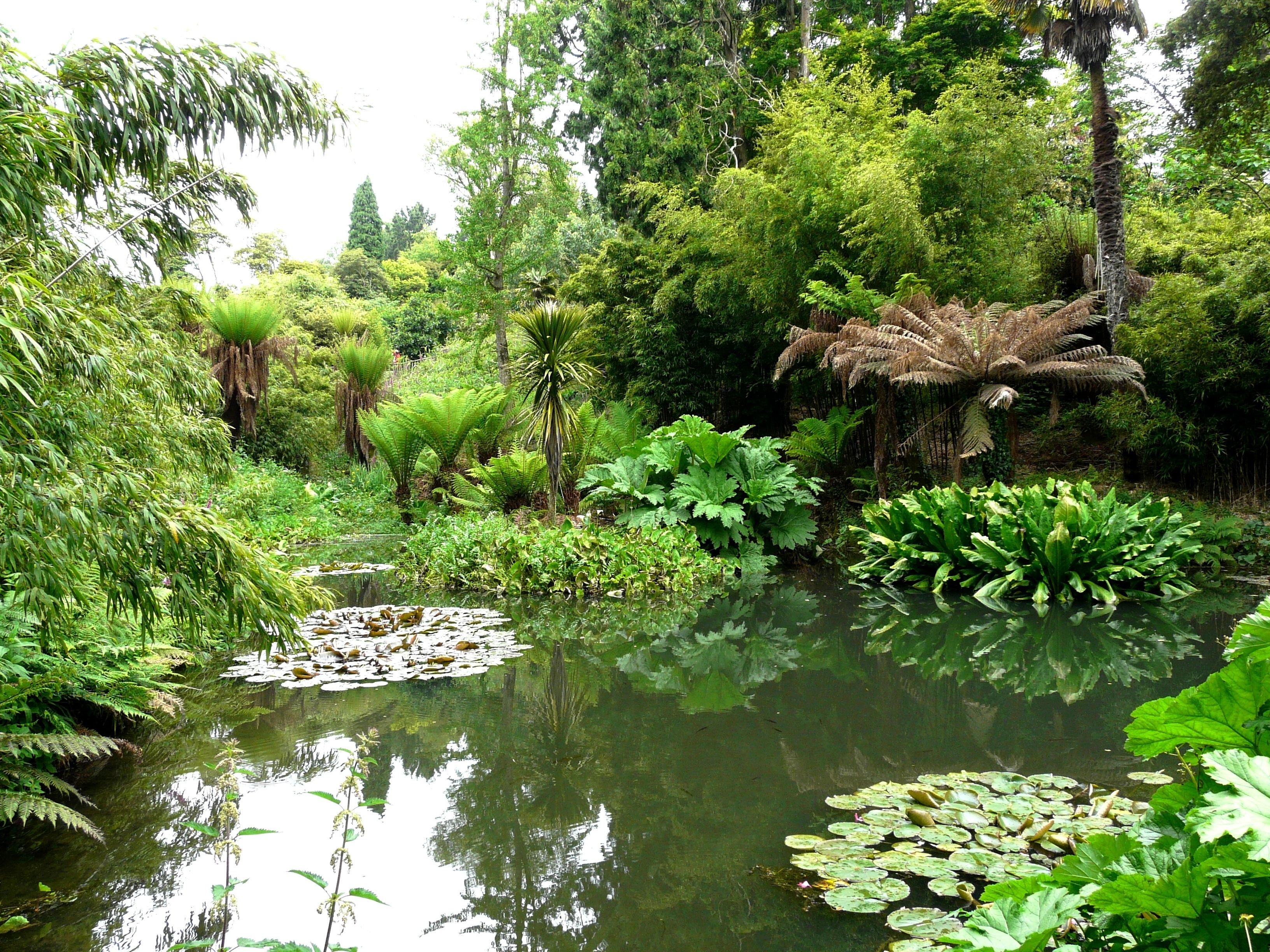 England: Great Gardens of Cornwall in the company of Mike Nelhams