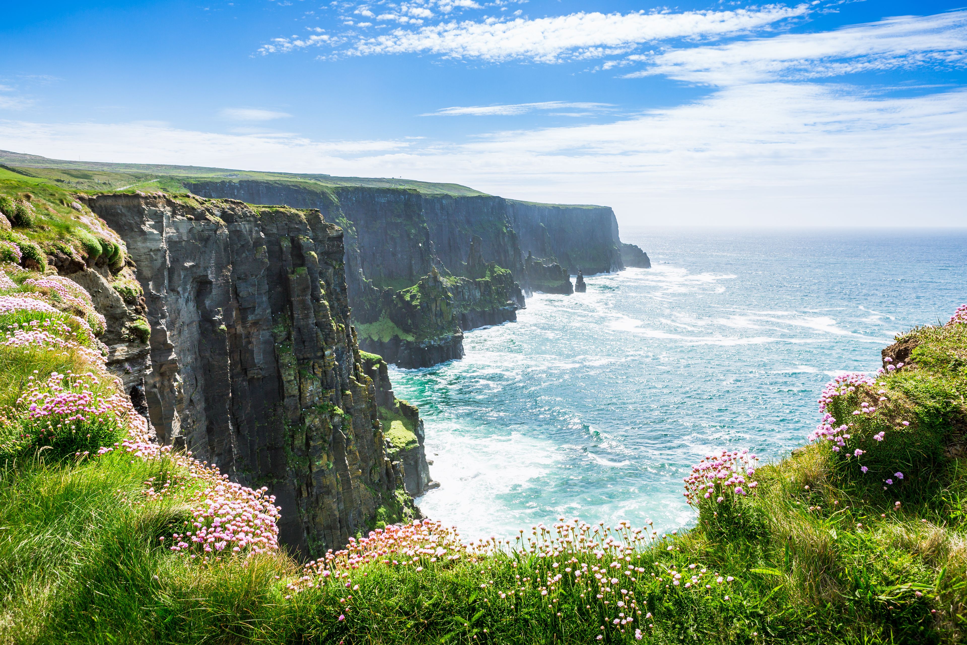 Gardens and Wildflowers of the Burren