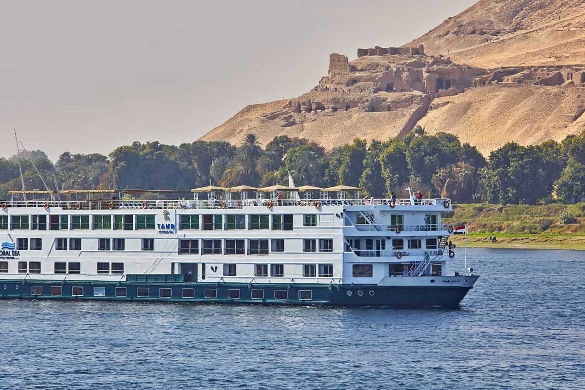 M.S. Tamr Henna