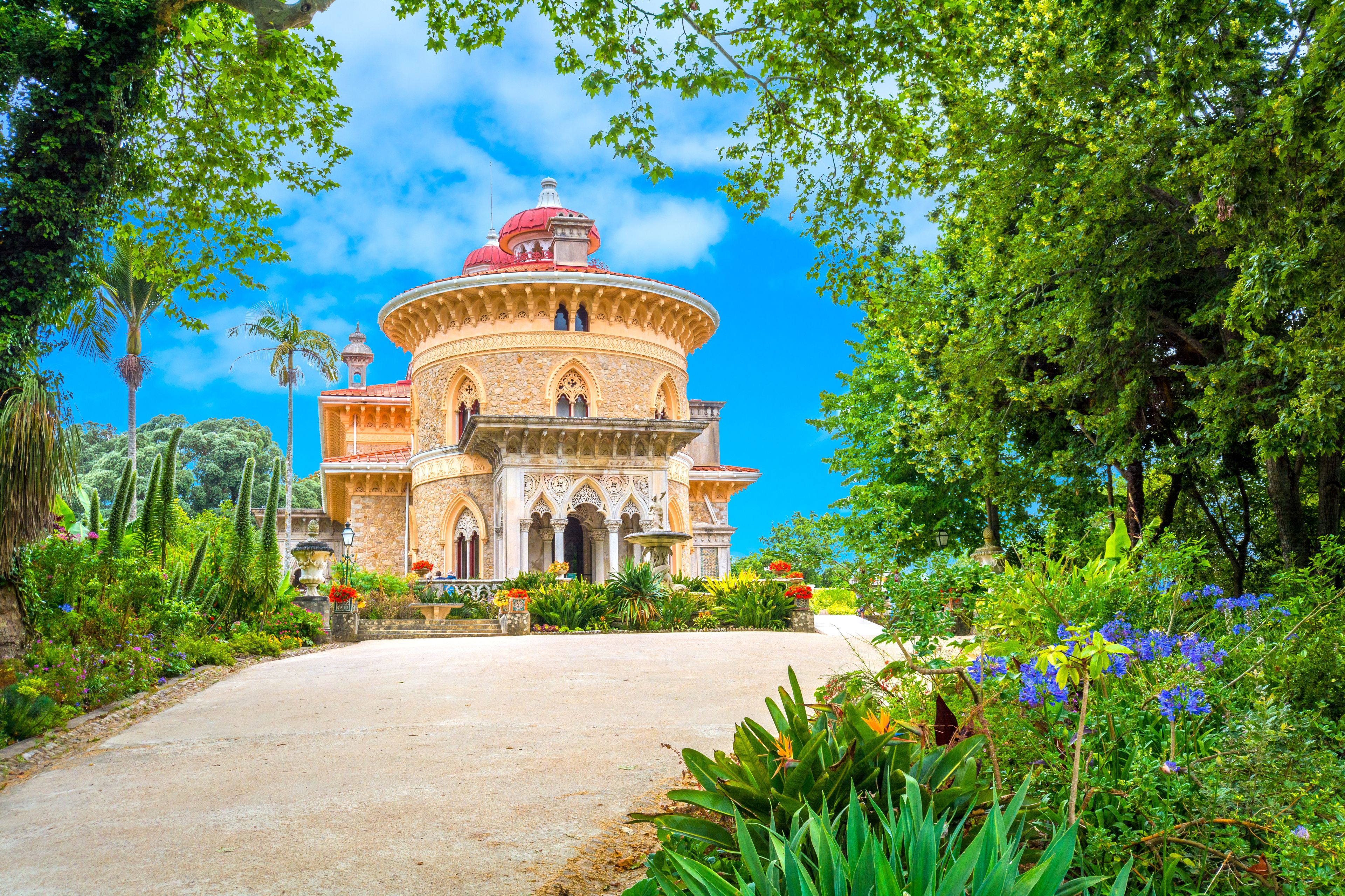 Springtime Flowers in Sintra and Lisbon