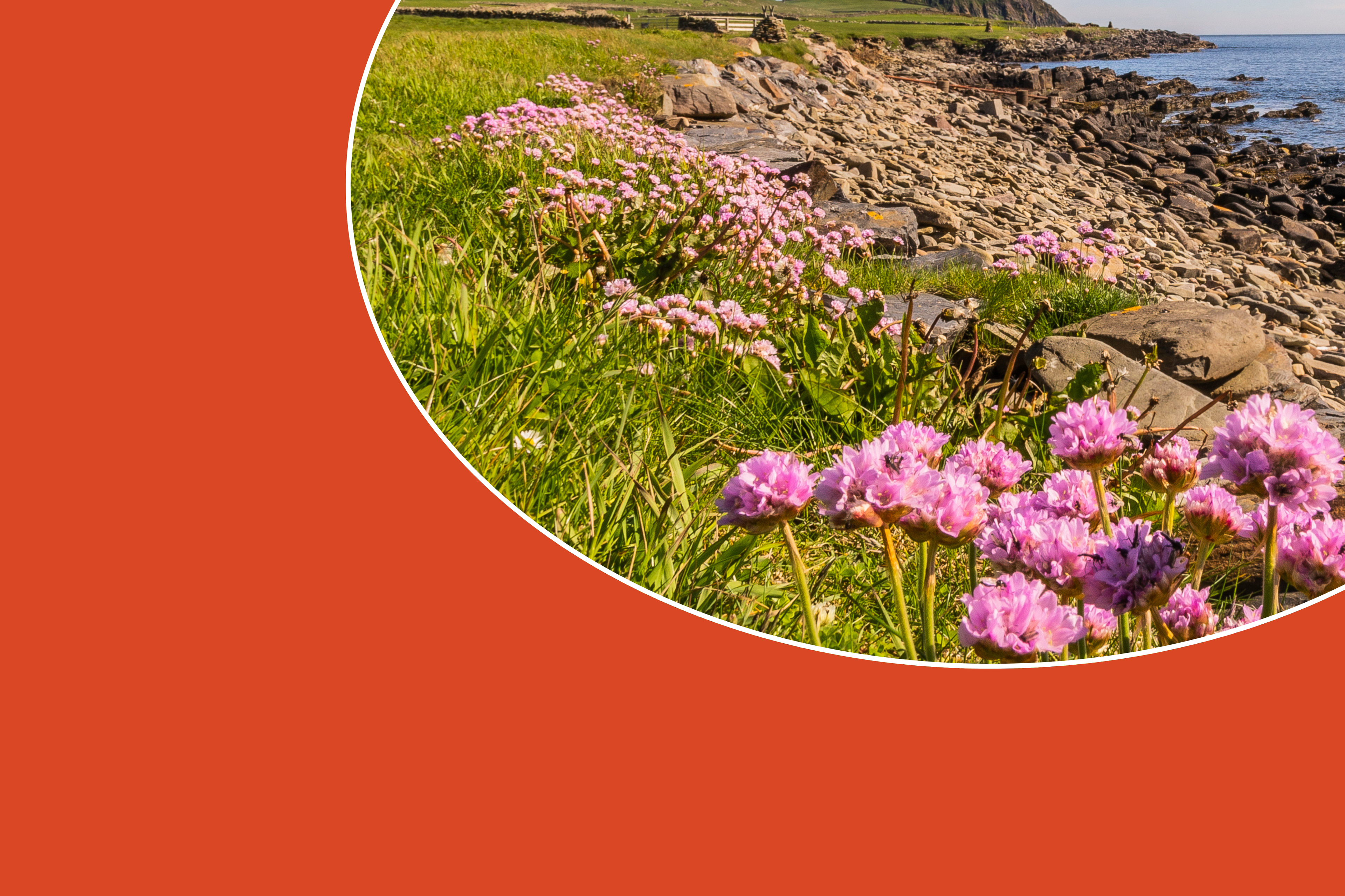 BOOK EARLY AND SAVE - But hurry, offer ends 19th June! 