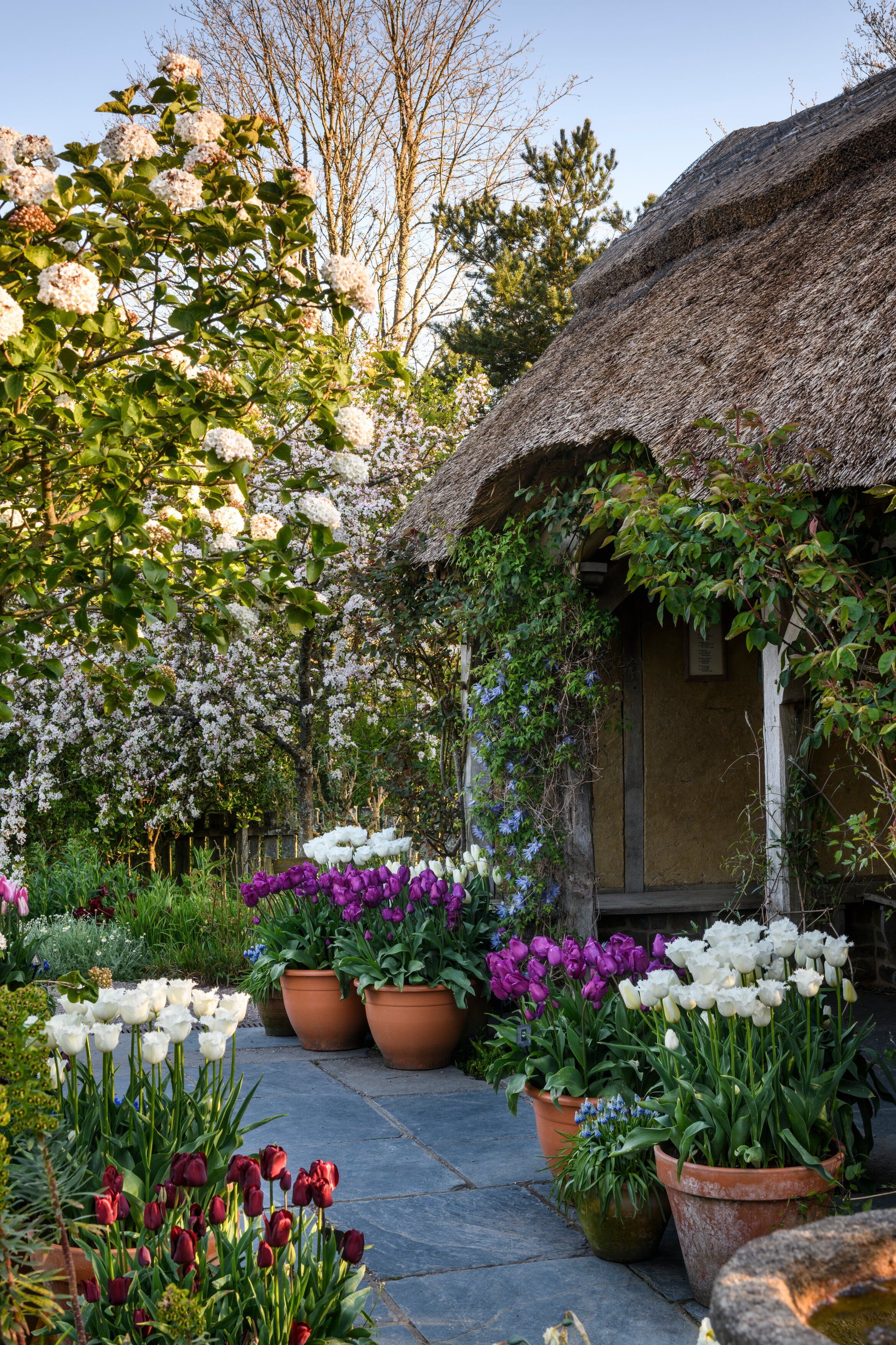 Gardens of Southern England & the RHS Chelsea Flower Show