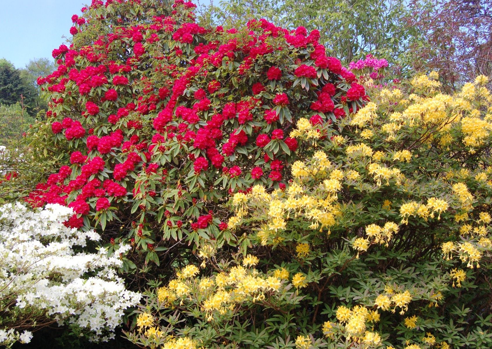 Gardens of the Highlands and Islands