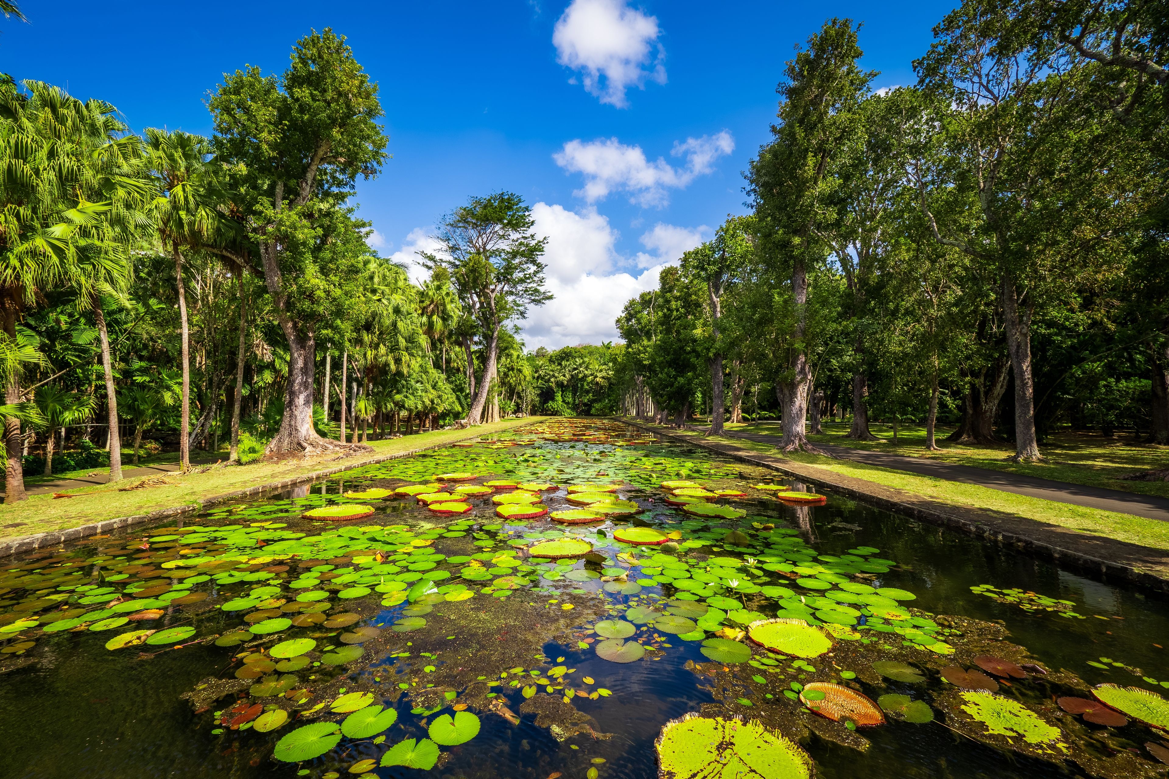 Gardens of Mauritius
