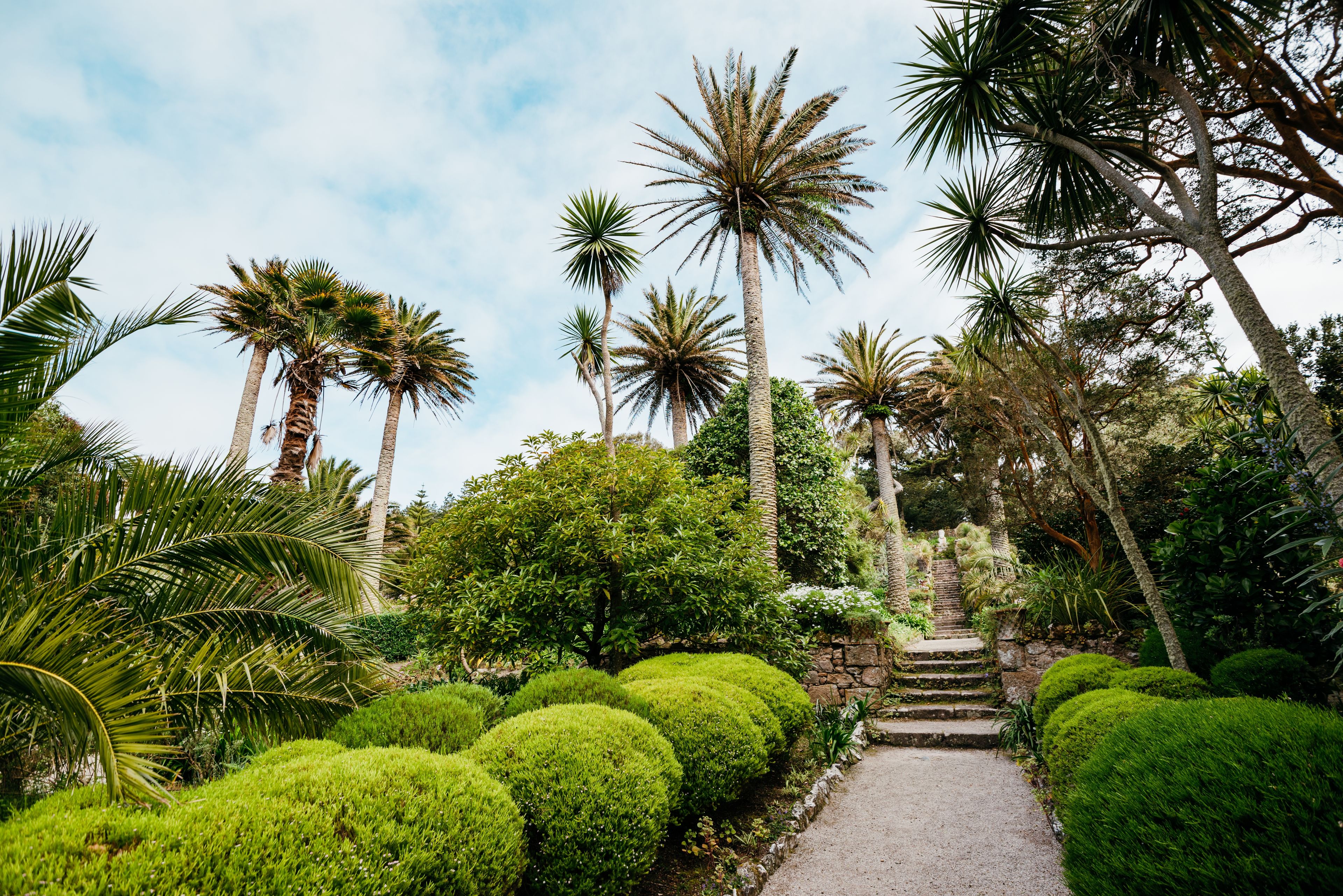 4. Tresco Abbey Garden, Isles of Scilly