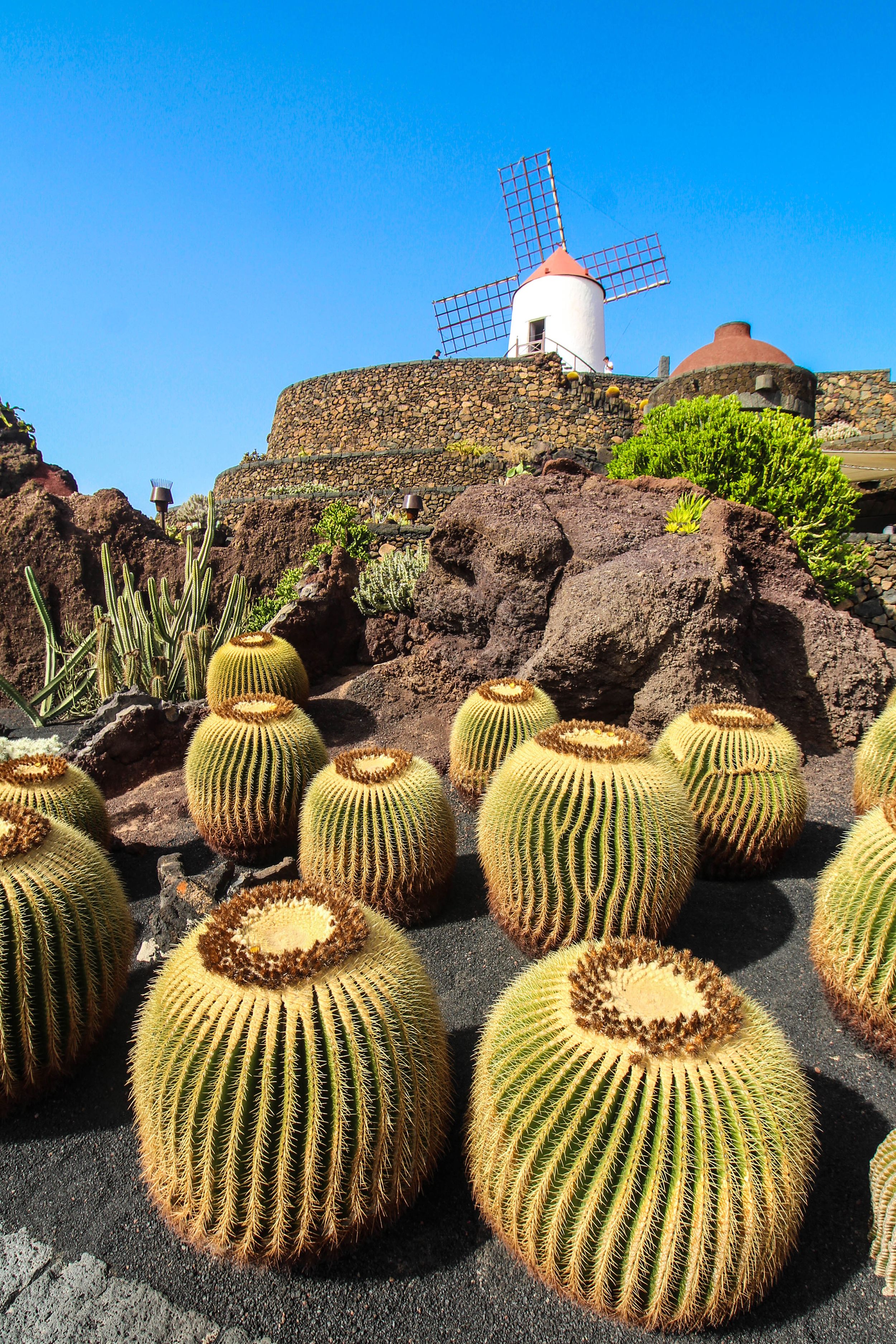 Glorious Gardens of the Canary Islands