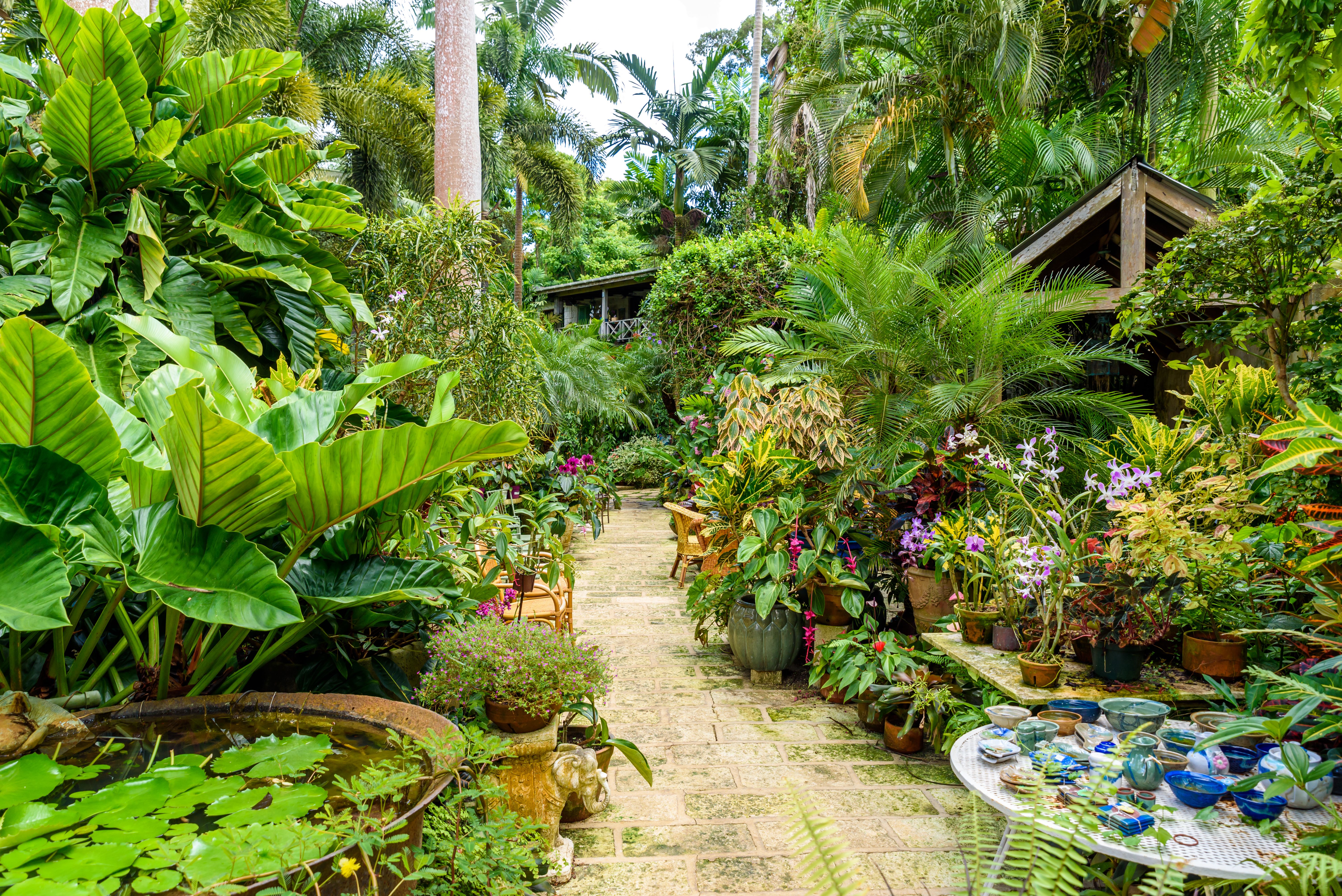 Gardens of Barbados