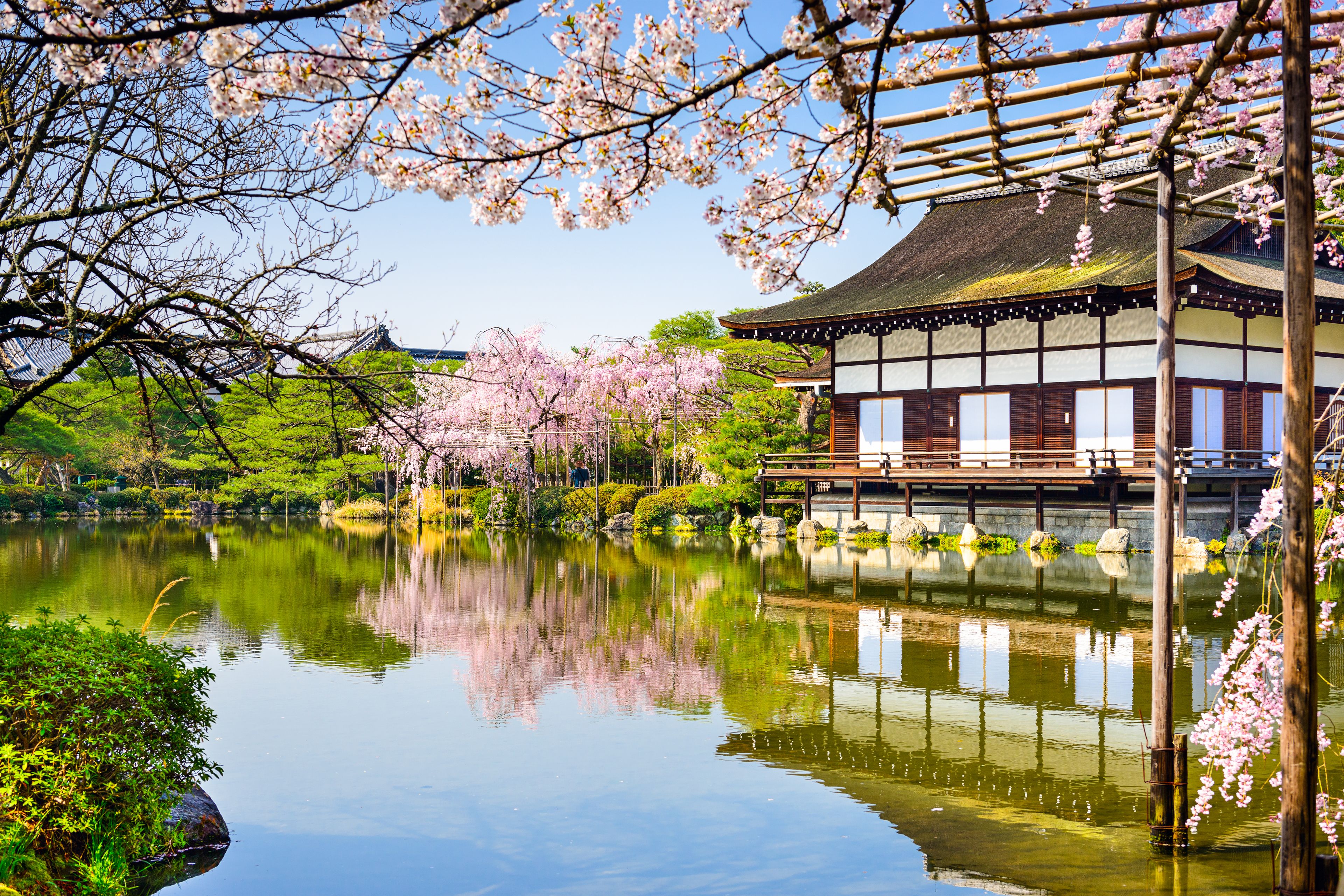 Seasonal Gardens of Japan