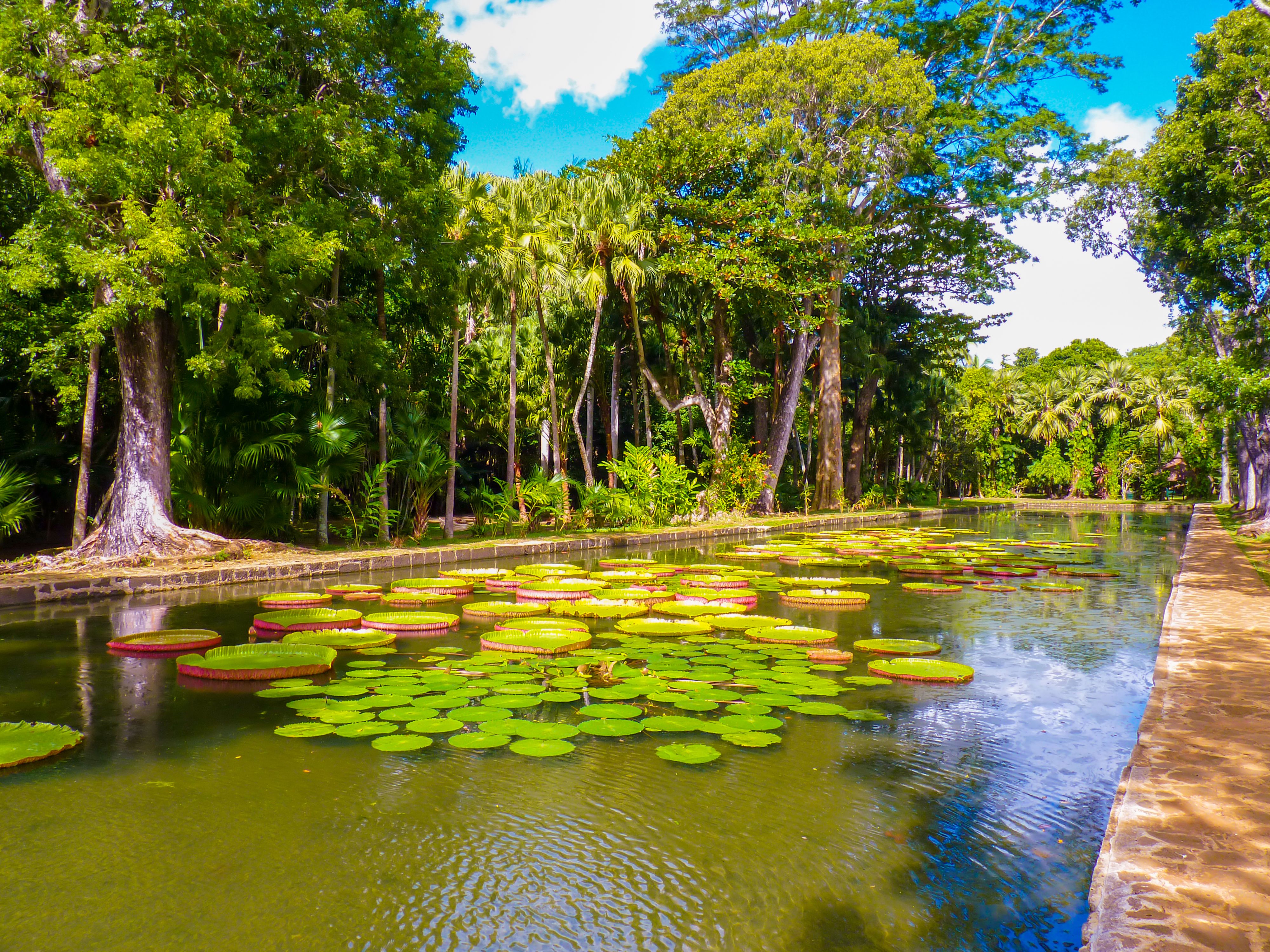 Gardens of Mauritius