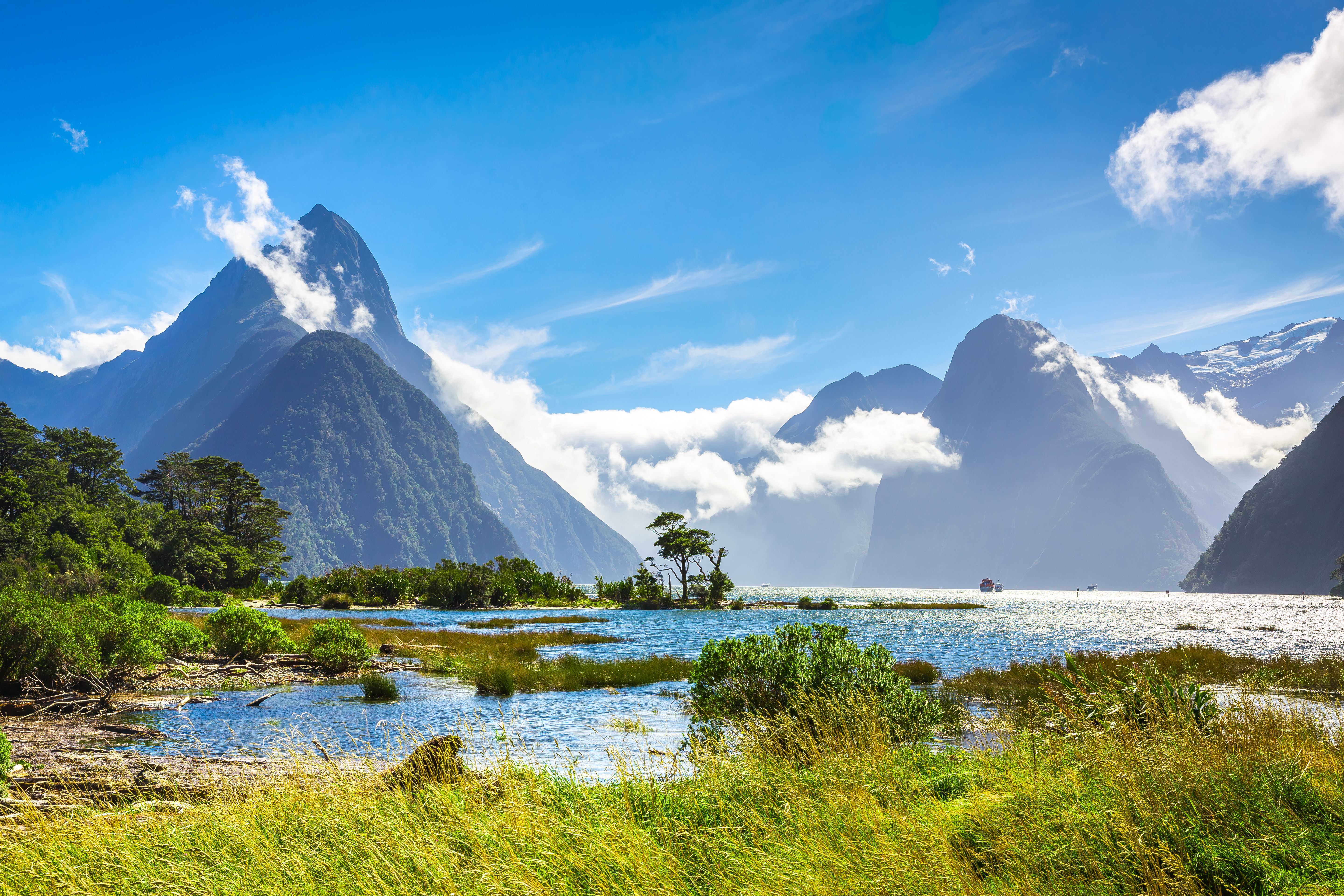 Gardens of New Zealand