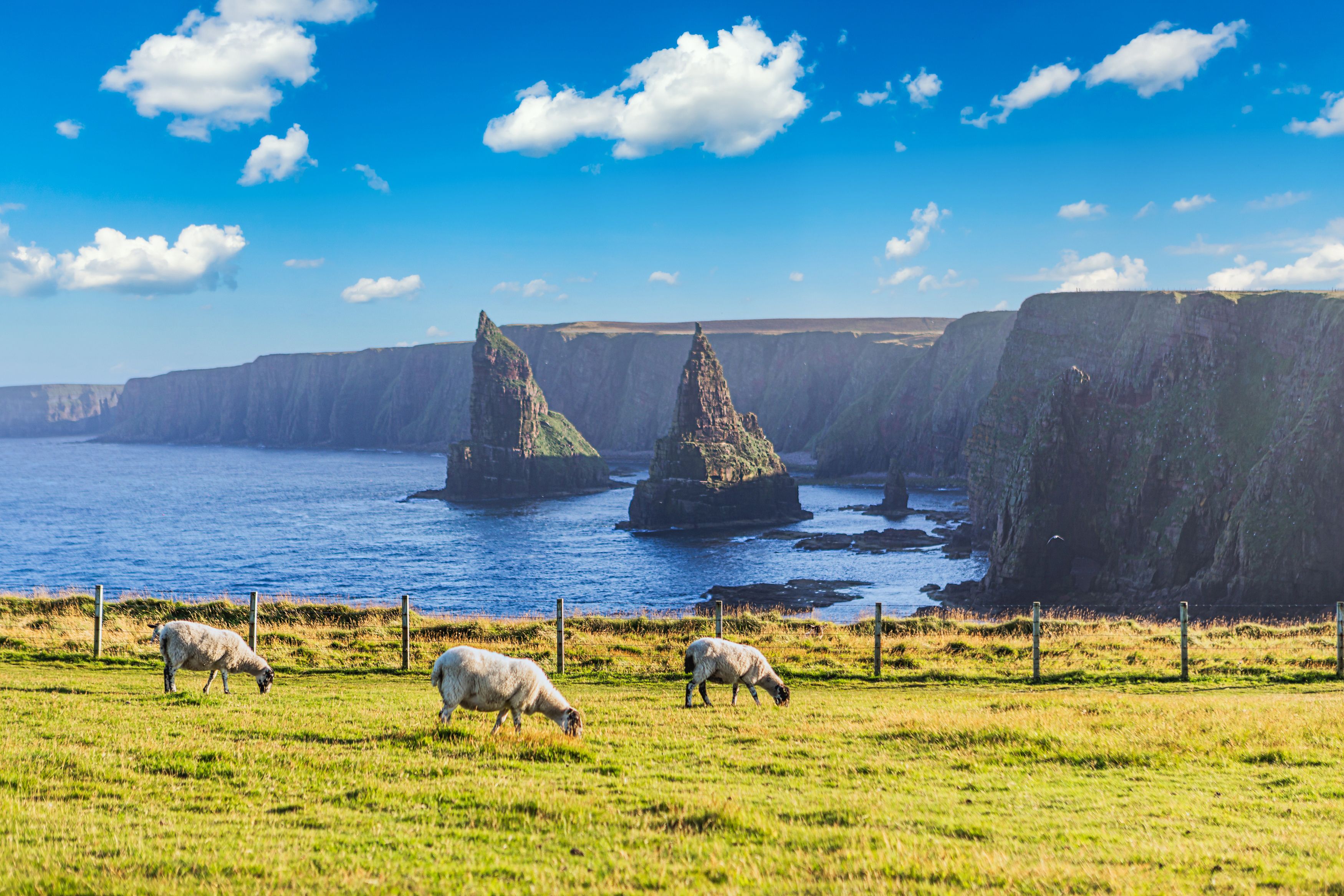 Duncansby Head