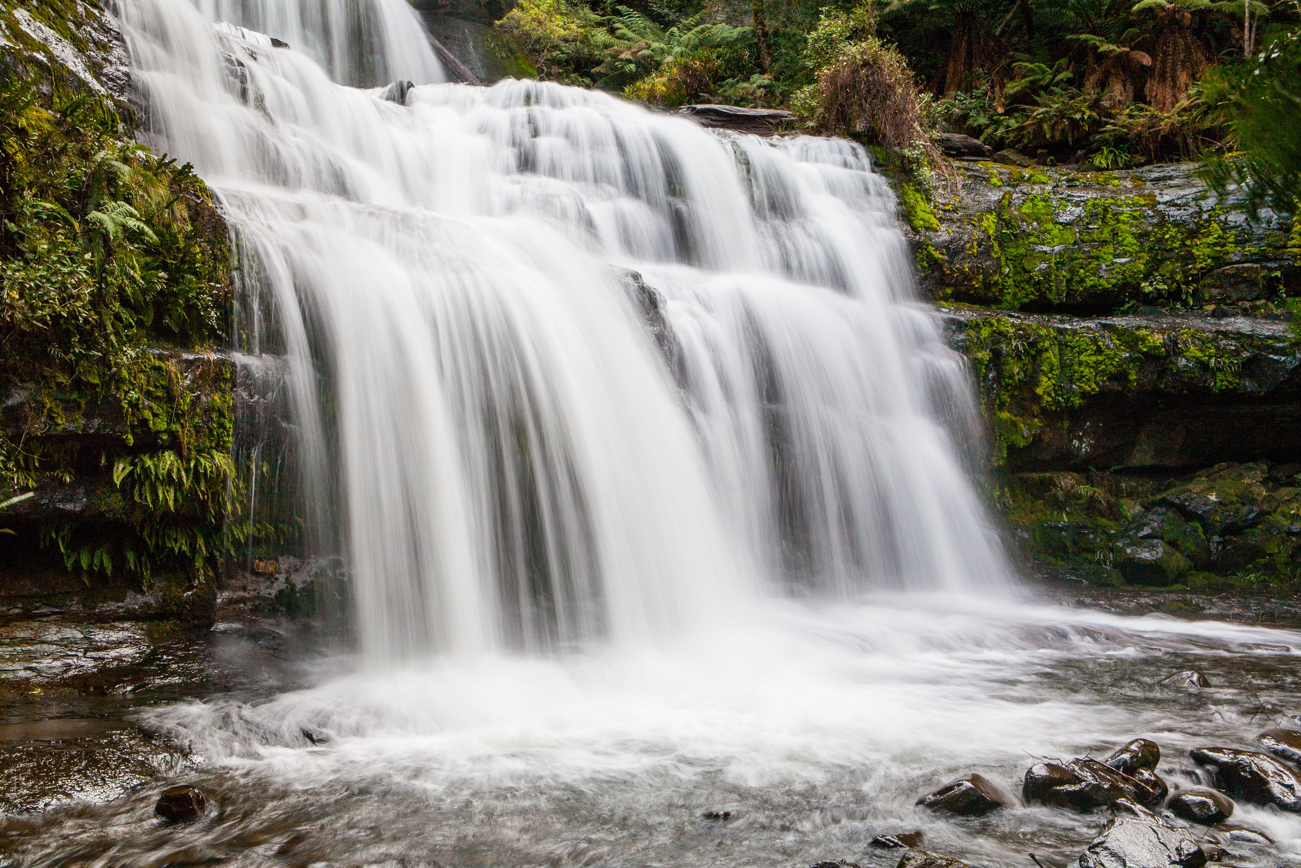 Liffey Falls State Reserve