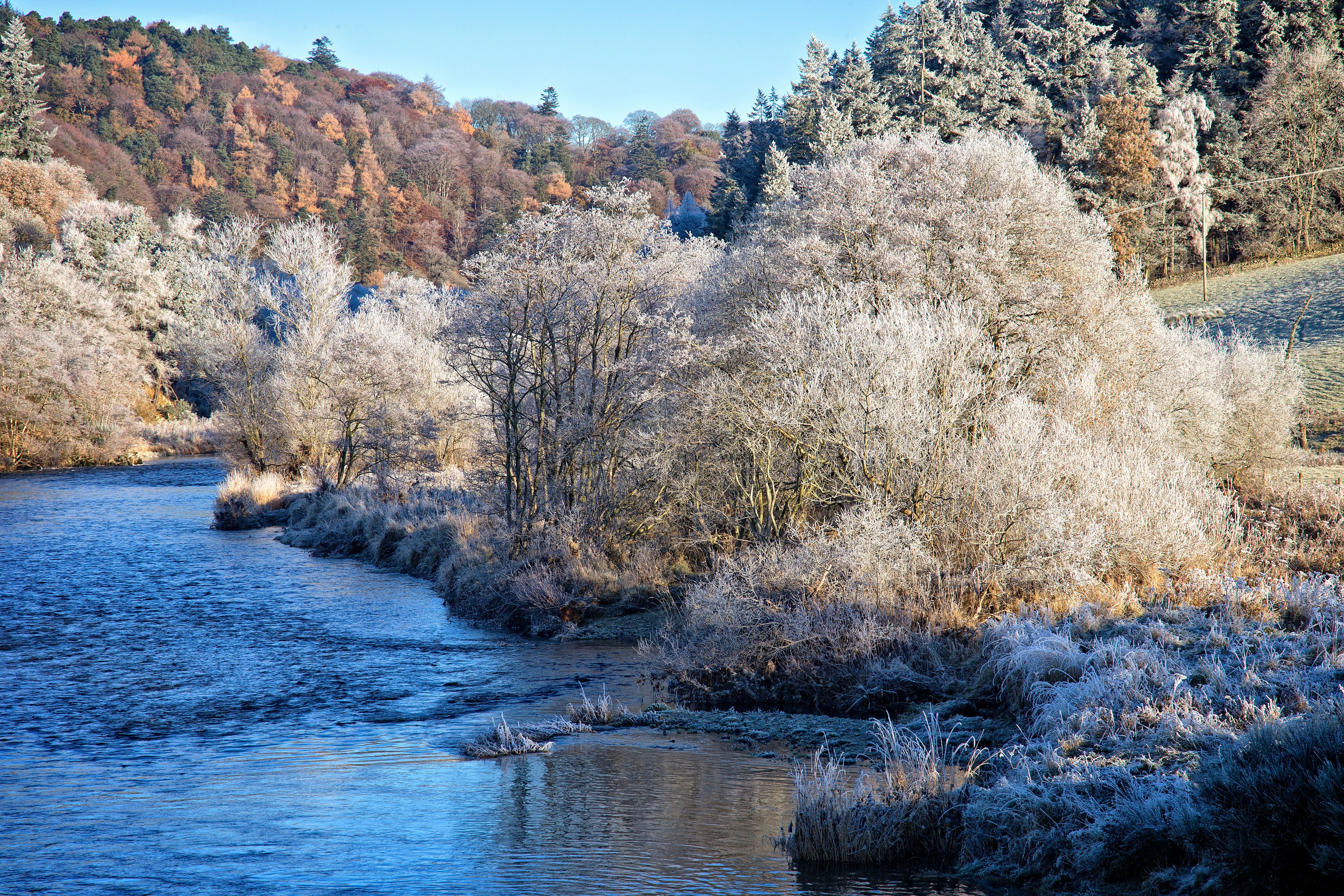 Christmas in the Scottish Borders