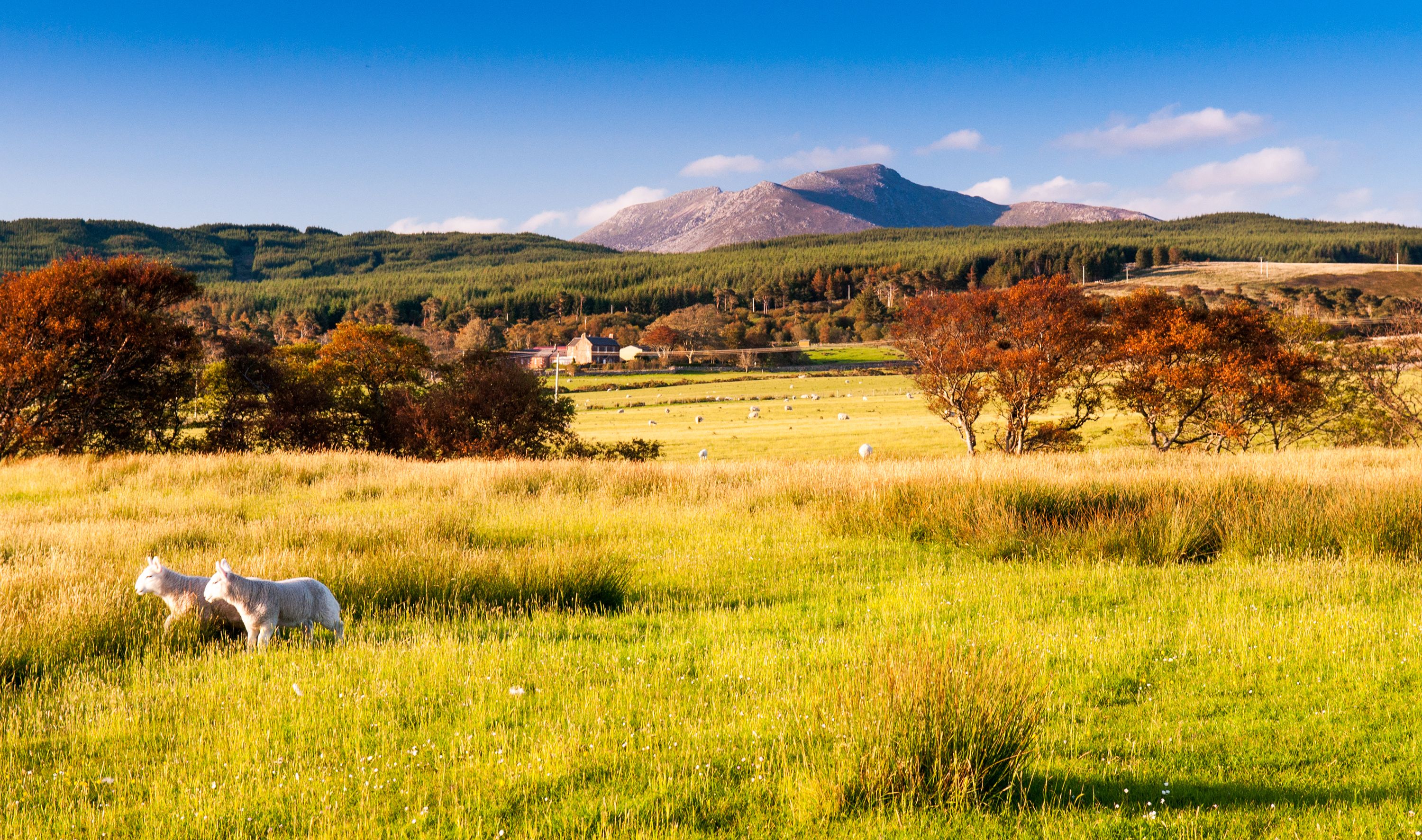 Scotland: Autumn Tints of Arran